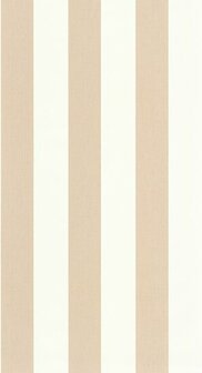Caselio Basics BAI104041050 - Beige Behang