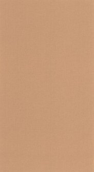 Caselio Basics BAI64524344 - Bruin Behang