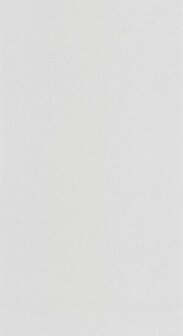 Caselio Basics BAI64529626 - Grijs Behang