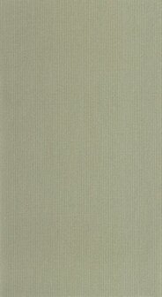 Casadeco Papercraft PAPC89657202 - Groen Behang