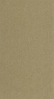 Casadeco Riverside 4 RIVI86421241 - Beige Behang
