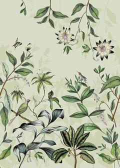 Casadeco Beauty Full Image 2 - Groen BFMA87086107 Behang