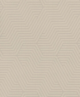 Rasch Deco Style 312522 Grijs Behang