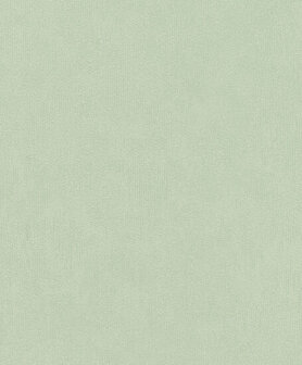 Rasch Deco Style 415377 Groen Behang