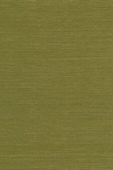 Arte Boutique Agave 90531 Groen Behang