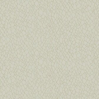 Noordwand Boutique DWP0232-01 Beige Metallic Behang