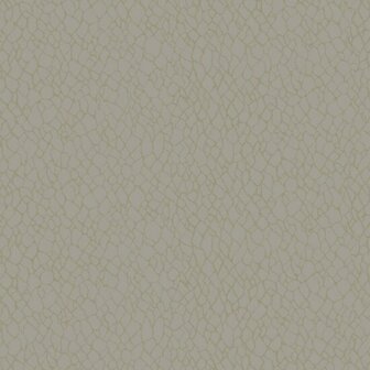 Noordwand Boutique DWP0232-02 Beige Metallic Behang