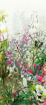 Khr&ocirc;ma by Masureel Wall Designs II DG2VIV1011 Behang