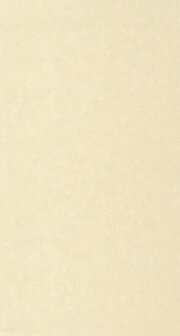 Caselio Ceramique CER105241110 - Beige Behang