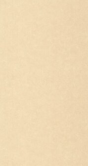 Caselio Ceramique CER105241515 - Beige Behang