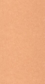 Caselio Ceramique CER105243030 - Oranje Behang