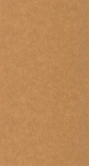 Caselio Ceramique CER105243148 - Bruin Behang