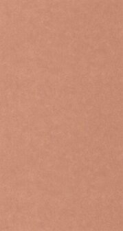 Caselio Ceramique CER105244130 - Roze Behang
