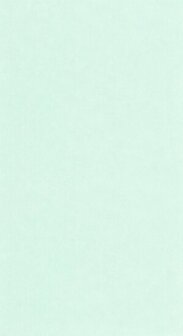 Caselio Ceramique CER105247000 - Groen Behang
