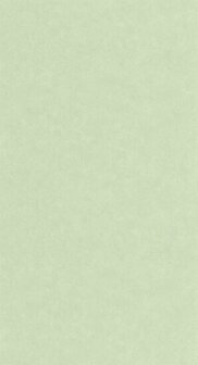 Caselio Ceramique CER105247360 - Groen Behang