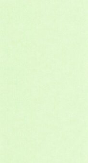 Caselio Ceramique CER105247499 - Groen Behang