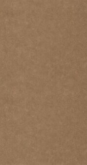 Caselio Ceramique CER105252040 - Bruin Behang