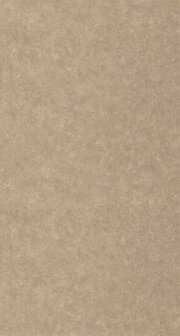 Caselio Ceramique CER105252120 - Bruin Behang