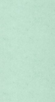 Caselio Ceramique CER105257150 - Groen Behang