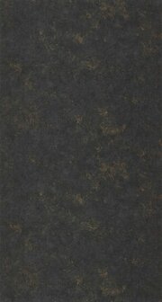 Caselio Ceramique CER105259149 - Zwart Behang