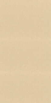 Casamance Nature Pr&eacute;cieuse - Textures 76480304 - Beige Behang