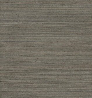 Arte Intuition CONFIDENT INT213 Beige / Taupe Behang
