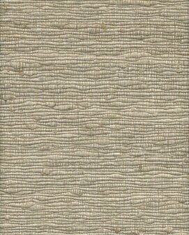 Arte Wild Silk KATIA SILK 86504 Beige Behang