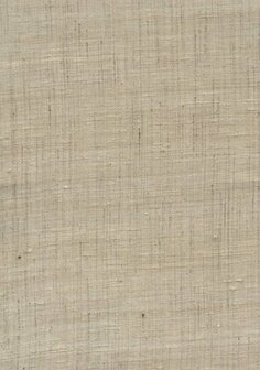 Arte Wild Silk GHICHA SILK 86544 Beige Behang