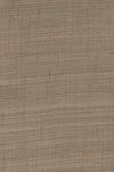 Arte Wild Silk GHICHA SILK 86545 Bruin Behang