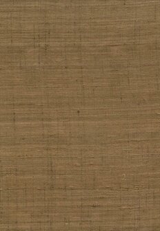 Arte Wild Silk GHICHA SILK 86547 Bruin Behang