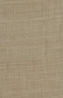Arte Wild Silk GHICHA SILK 86548 Beige Behang