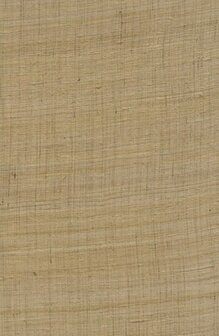 Arte Wild Silk GHICHA SILK 86549 Beige Behang