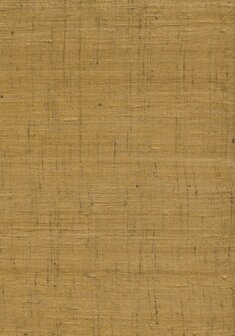 Arte Wild Silk GHICHA SILK 86550 Beige Behang