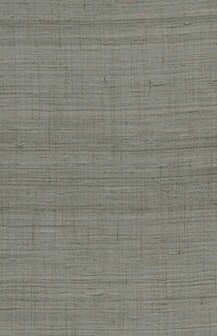 Arte Wild Silk GHICHA SILK 86551 Taupe Behang