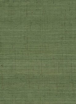 Arte Wild Silk GHICHA SILK 86554 Groen Behang