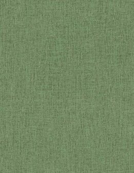 HookedOnWalls CABANE UNITO 20907 Groen Behang