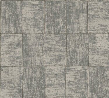 HookedOnWalls CABANE MEDINILLA 20936 Zwart / Bruin Behang