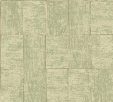 HookedOnWalls CABANE MEDINILLA 20938 Groen Behang