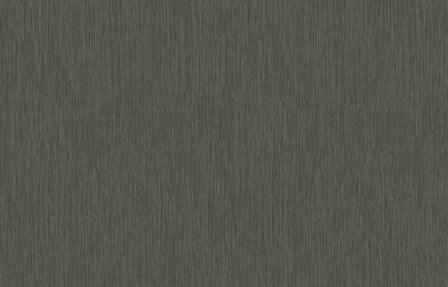HookedOnWalls CABANE YUCCA PLAIN 20946 Zwart Behang
