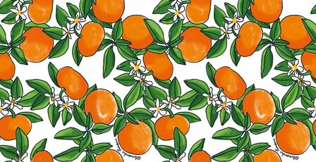 HookedOnWalls ENRIQUEZLAND TANGERINE 25540 Behang