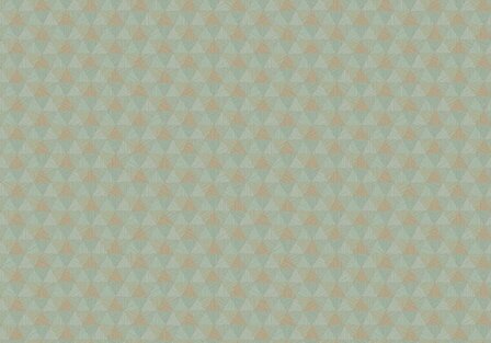 HookedOnWalls JV 602 JAIPUR TRIANGLES TROPICALES 6833 Behang