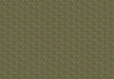 HookedOnWalls JV 602 JAIPUR TRIANGLES TROPICALES 6834 Behang