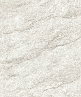 Dutch Wallcoverings Brut M758-00 Grijs Behang