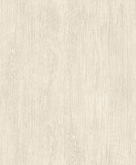 Dutch Wallcoverings Brut M764-07 Beige Behang
