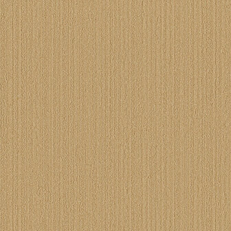 Dutch First Class Luxury Colors LC522107 Goud Behang