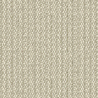 Dutch First Class Luxury Colors LC522503 Grijs Behang