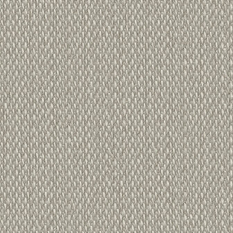 Dutch First Class Luxury Colors LC522504 Grijs Behang