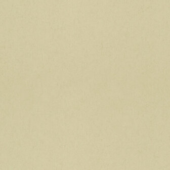 Dutch First Class Midbec Langenas 77010 Beige Behang