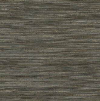 Dutch First Class Arber DL26716 Zwart / Goud Behang