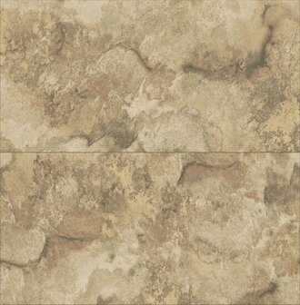 Dutch First Class Arber DL26733 Goud Behang